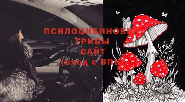 трава Медногорск