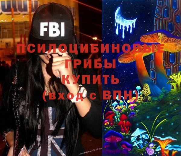 дживик Вязники